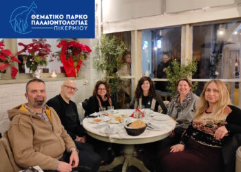 Φιλική συνάντηση και συζήτηση ενημέρωσης με ομάδα έμπειρων Ψυχολόγων – ψυχοθεραπευτών για το Ερευνητικό Έργο Καινοτομίας “Πικέρμι 123”